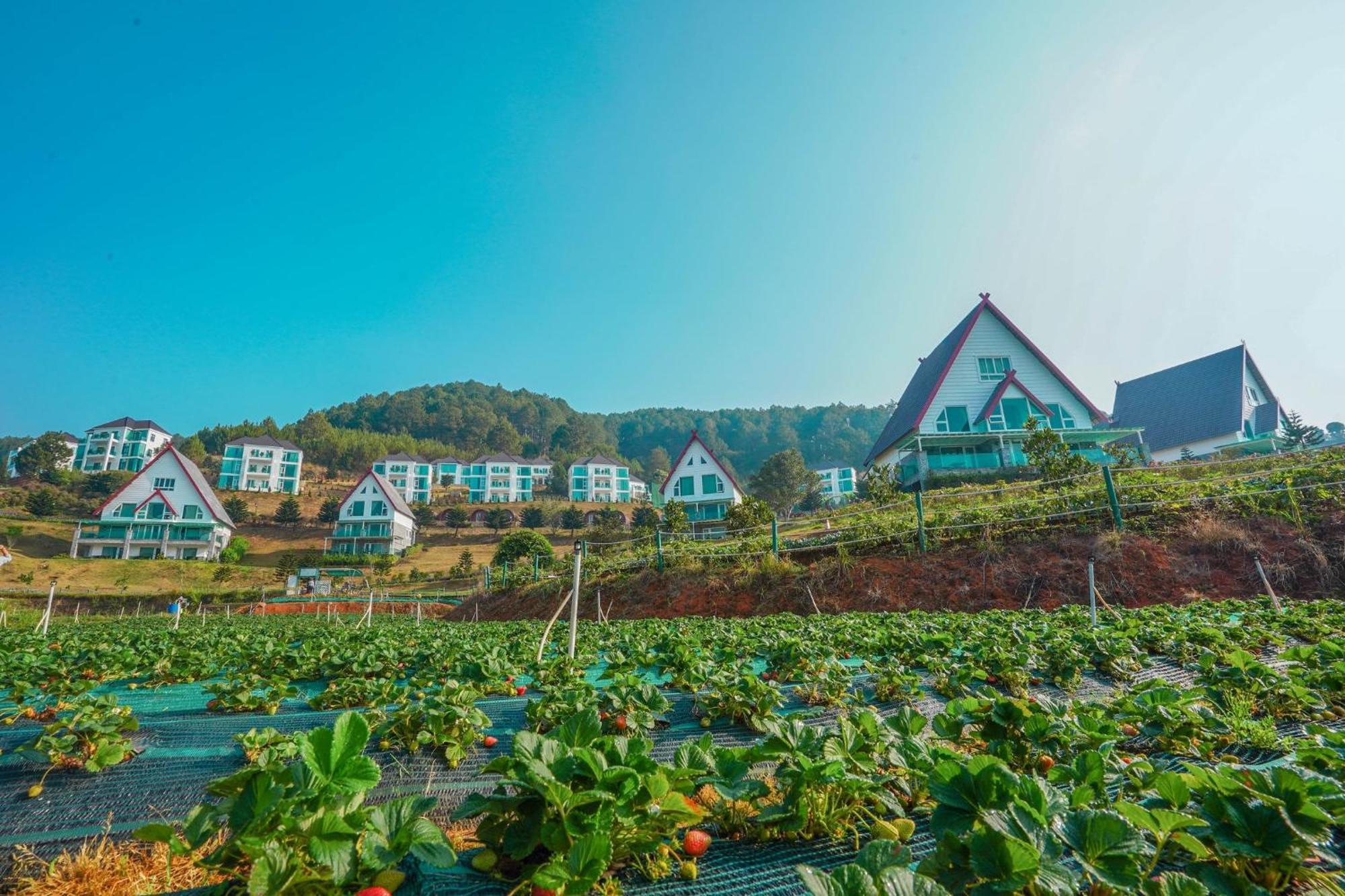 Dalat Wonder Resort Экстерьер фото